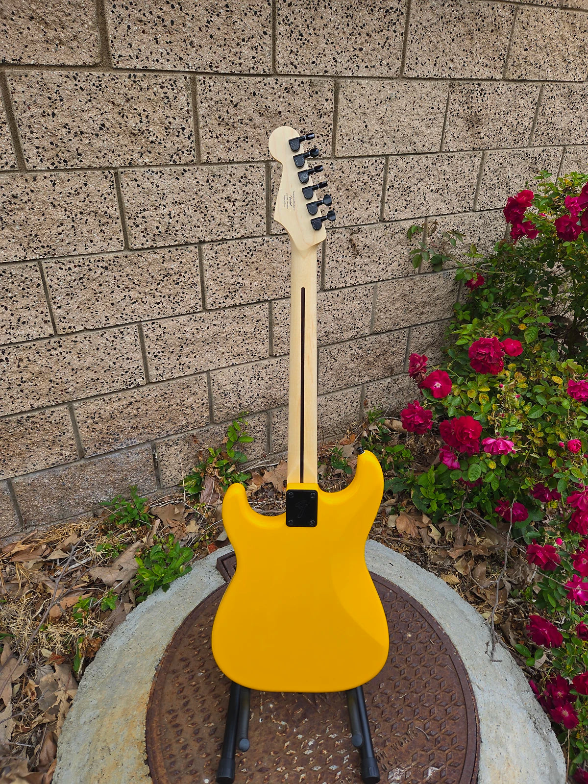 Squier Stratocaster HH HT